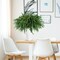 10 Pcs Christmas Norfolk Pine Branches with Pine Cones Artificial Christmas Branches Faux Christmas Greenery Norfolk Pine Stems Cedar Stems for Xmas Home DIY Crafts Garland Indoor Decor